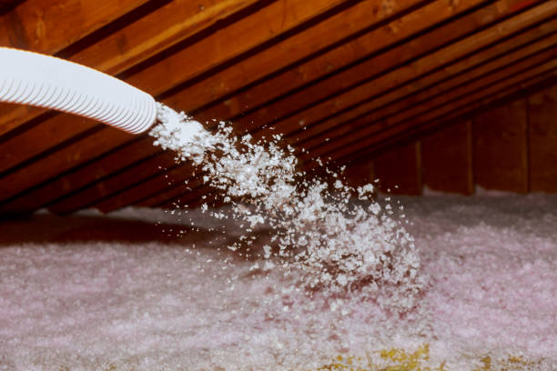 Best Geographic-Specific Insulation Services in Elkader, IA