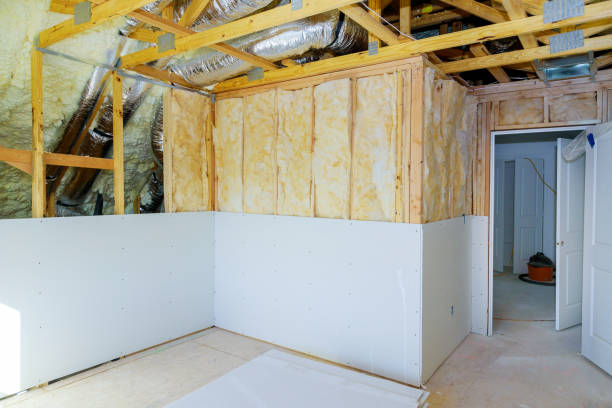 Best Specialized Insulation Services in Elkader, IA
