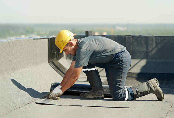 Types of Insulation We Offer in Elkader, IA