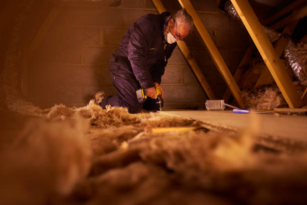 Best Energy Efficiency Insulation in Elkader, IA